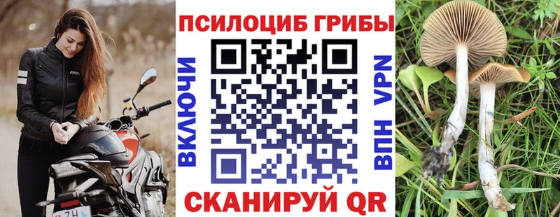 Галлюциногенные грибы MAGIC MUSHROOMS  как найти закладки  kraken онион  Лысьва 